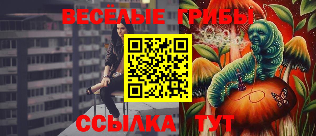 Вятские Поляны  Псилоцибиновые грибы MAGIC MUSHROOMS  Вход с VPN 